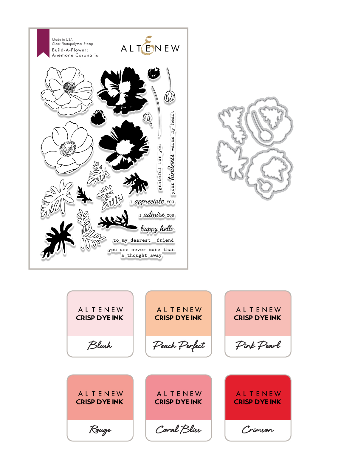 Build-A-Flower: Anemone Coronaria & Ink Bundle